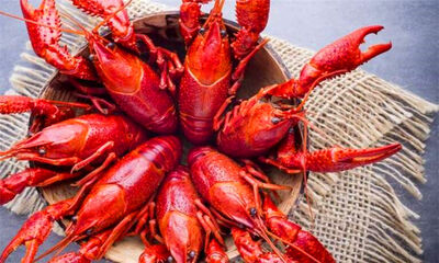 小龙虾生长在什么地方