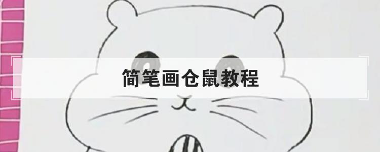 简笔画仓鼠教程