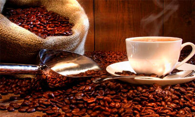 咖啡的故乡是哪里