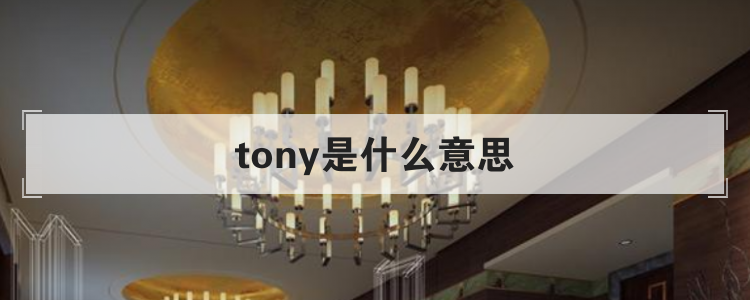 tony是什么意思
