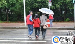 路遇摔倒老人应该怎么办？