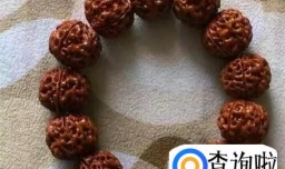 大金刚菩提裂了怎么办