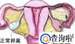 卵巢早衰的征兆有哪些？