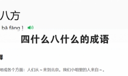 四什么八什么的成语