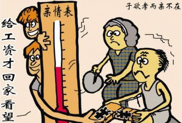 子欲养而亲不待是什么意思