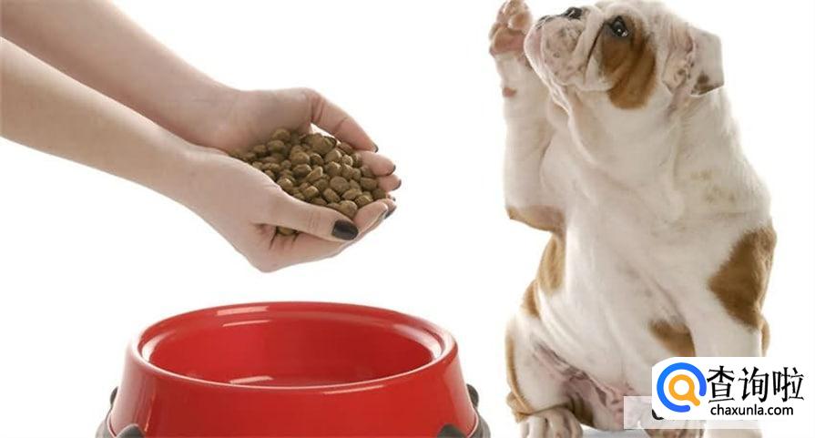 如何才能保证宠物食品安全