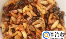 云南虫子宴都有什么虫