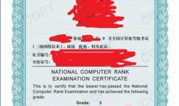 如何两周通过计算机三级网络技术考试