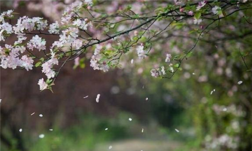 唐诗排行榜前十名