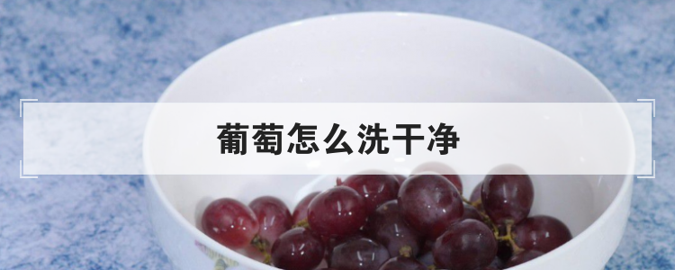 葡萄怎么洗干净