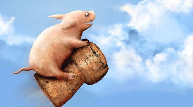 属猪和什么属相最配