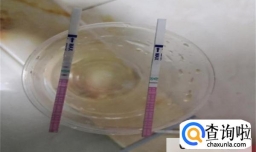 什么药混尿里会假怀孕