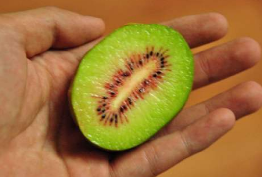 猕猴桃没熟可以吃吗