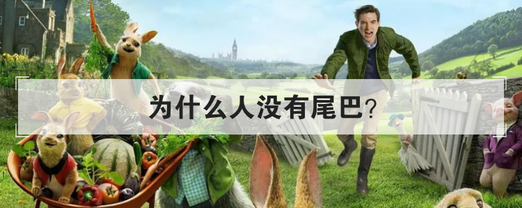 为什么人没有尾巴