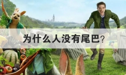 为什么人没有尾巴