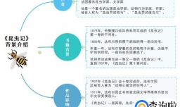 思维导图解读昆虫记