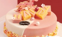 哈根达斯冰淇淋蛋糕可以分两次吃吗