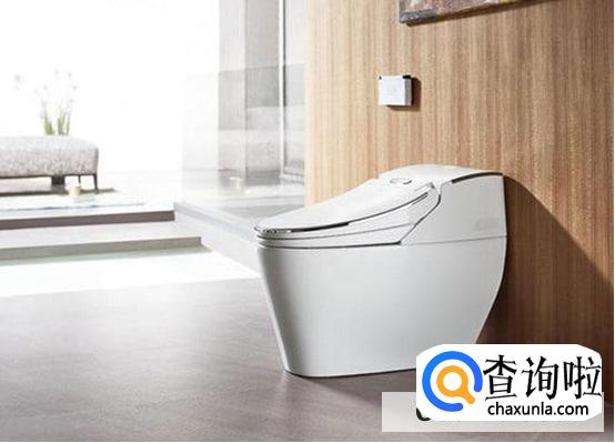 使用马桶时应注意的细节