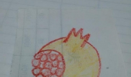 石榴简笔画画法