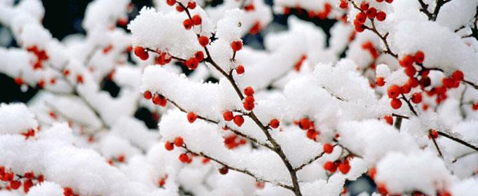 为什么说下雪不冷化雪冷