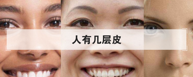 人有几层皮