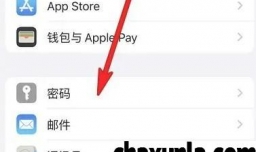 iphone13手机怎样设置开启检测已泄露的密码
