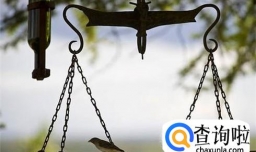 如何看待付出与回报