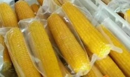 玉米可以冷冻保存吗 怎么保存