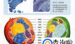 高三学生如何学好生物