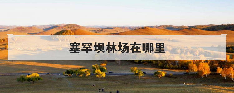塞罕坝林场在哪里