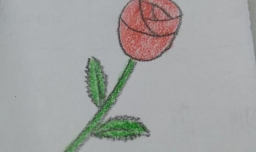 简单漂亮玫瑰花的画法步骤图