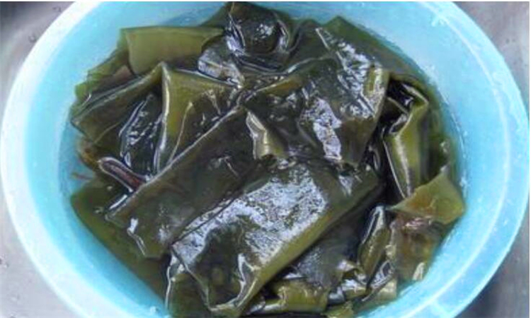 海带丝泡水多长时间好