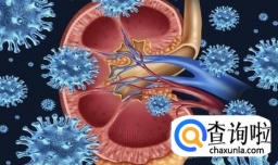 如何治疗肾衰竭