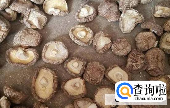 该怎么挑选花菇呢