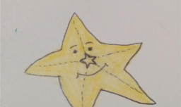 画海星的简笔画