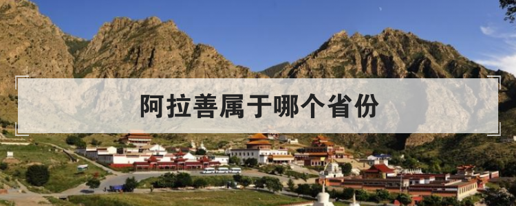 阿拉善属于哪个省份