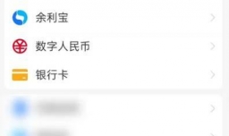 支付宝网商银行如何自定义支付限额