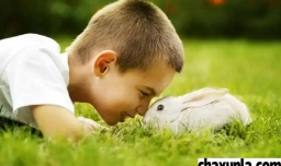 有爱心的人都喜欢小动物