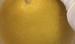 柚子皮糖的制作方法