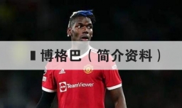  博格巴（简介资料）