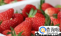 奶油草莓的营养价值及其功效