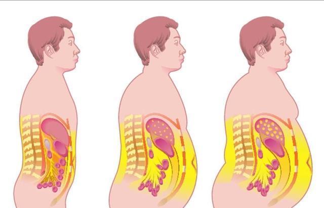 三大供能物质消耗顺序