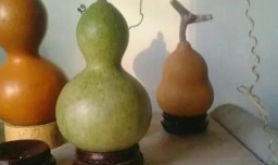 文玩葫芦怎样去皮