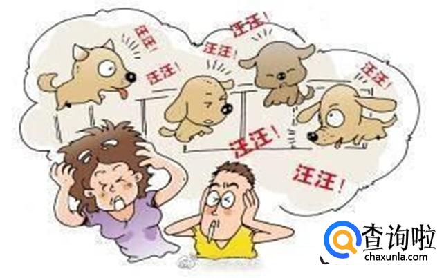 中考期间扰民怎么投诉最好