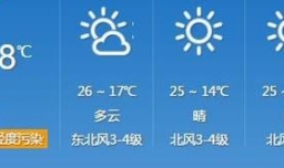 月季如何进行扦插？