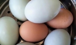 怎样腌鸭蛋健康又好吃？