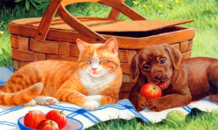 惬意是什么意思