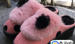 毛拖鞋可以烘干吗