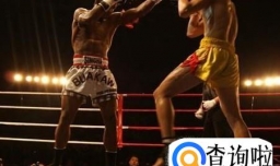 练习泰拳基本方法与职业训练秘法