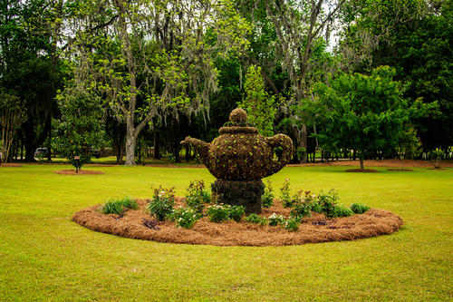 garden是什么意思